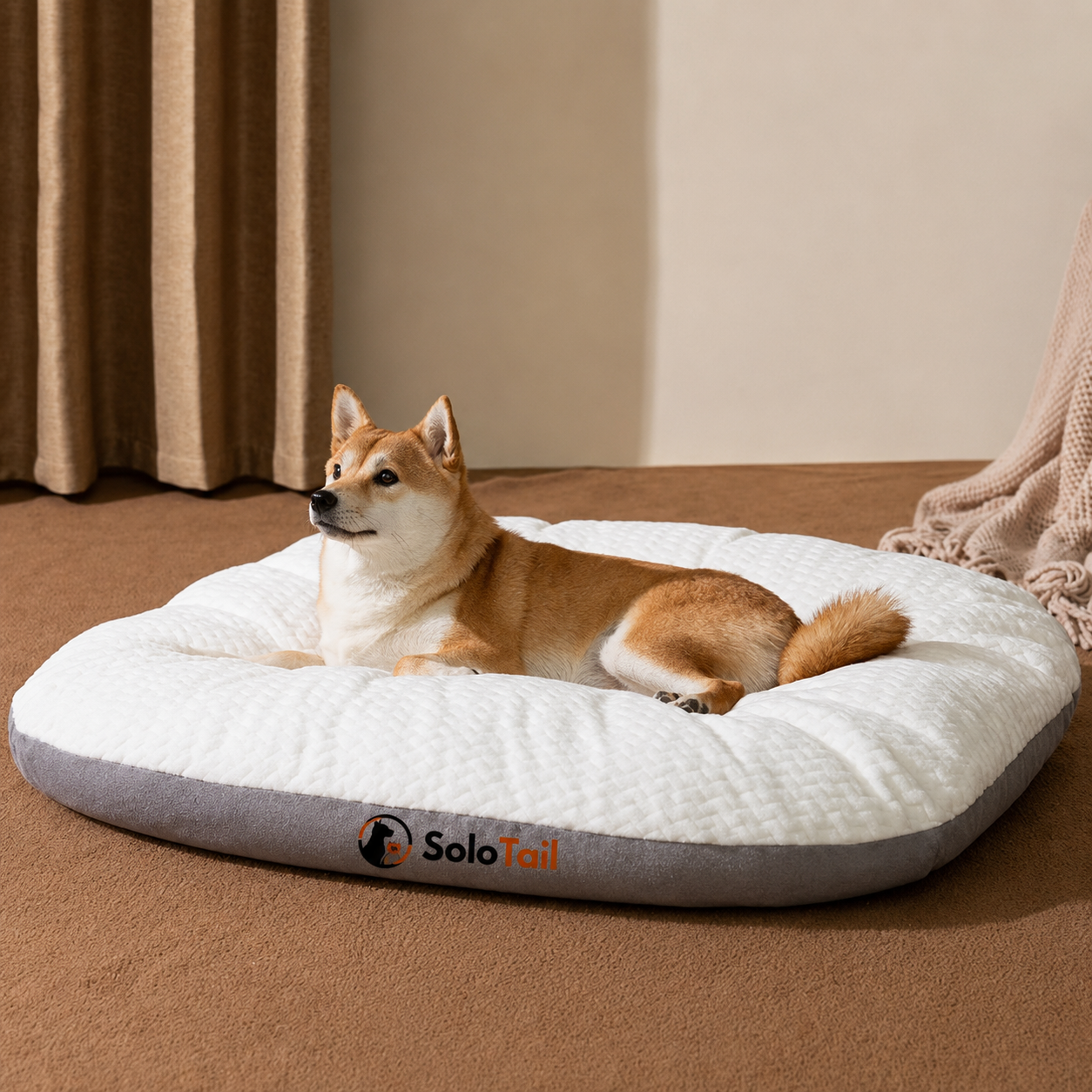 SoloTail DreamBed™  Where Comfort Meets Calm