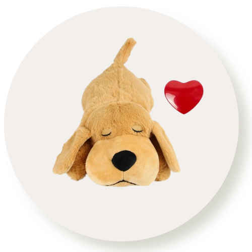 Dog Toys