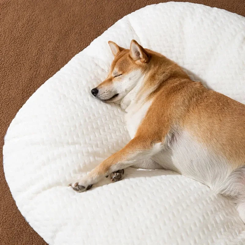 Dog Bed Sofa-Thick Plush Cushion, Removable Washable Cover, Non-Slip Bottom
