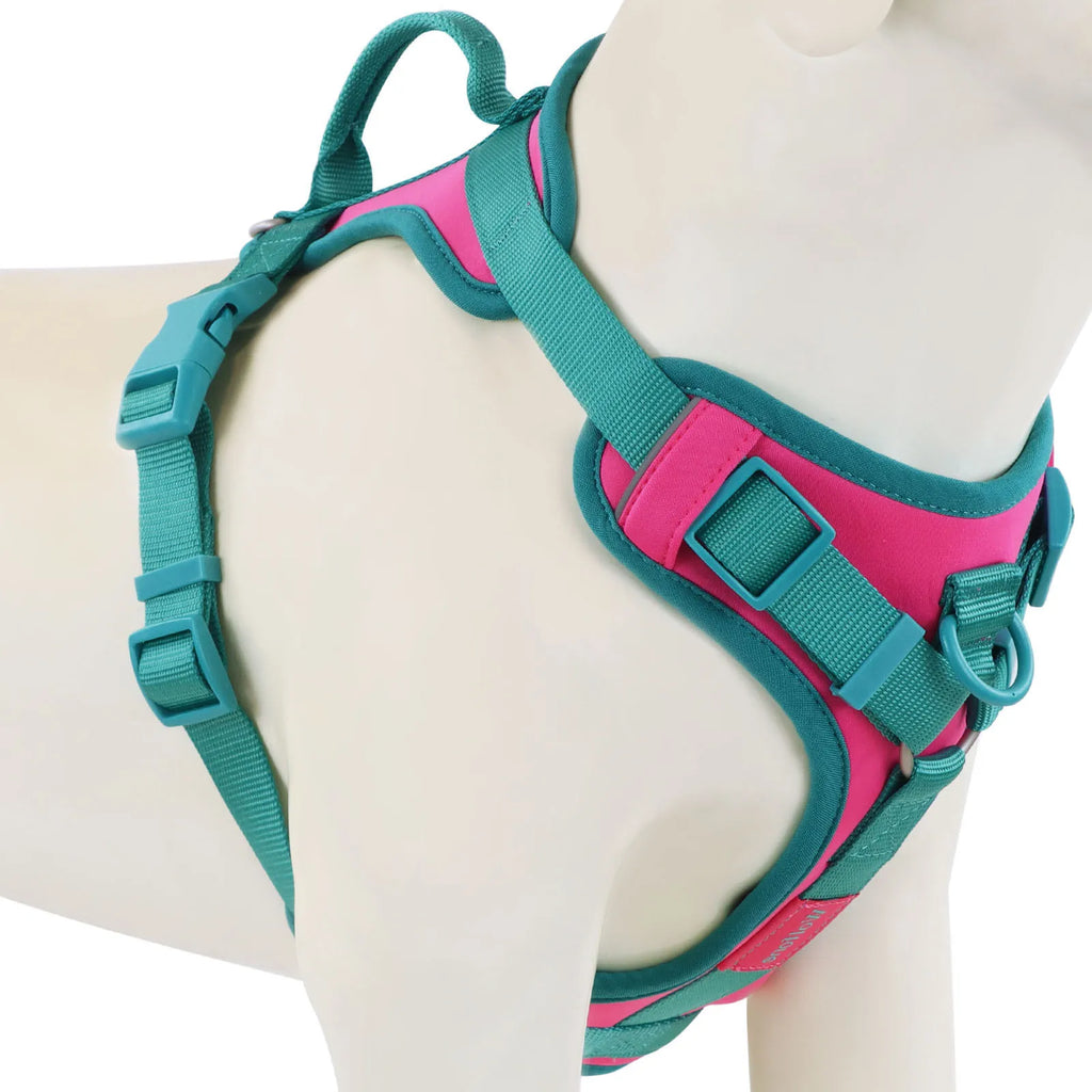 No Pull Dog Harness – Adjustable Breathable Chest Strap for Small, Medium & Large Dogs | Personalized Fit