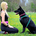 No Pull Dog Harness – Adjustable Breathable Chest Strap for Small, Medium & Large Dogs | Personalized Fit