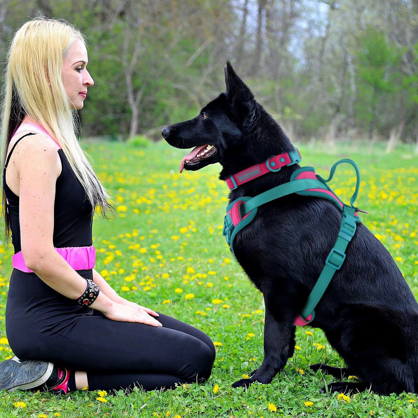 No Pull Dog Harness – Adjustable Breathable Chest Strap for Small, Medium & Large Dogs | Personalized Fit