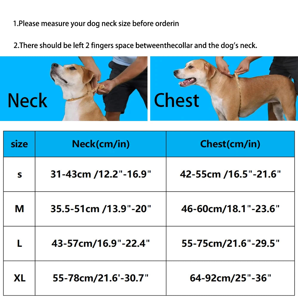 No Pull Dog Harness – Adjustable Breathable Chest Strap for Small, Medium & Large Dogs | Personalized Fit