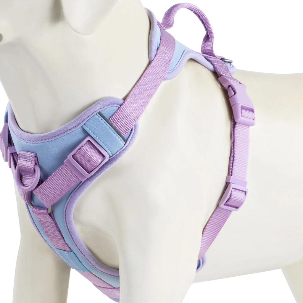 No Pull Dog Harness – Adjustable Breathable Chest Strap for Small, Medium & Large Dogs | Personalized Fit