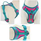 No Pull Dog Harness – Adjustable Breathable Chest Strap for Small, Medium & Large Dogs | Personalized Fit