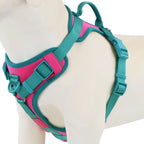 No Pull Dog Harness – Adjustable Breathable Chest Strap for Small, Medium & Large Dogs | Personalized Fit