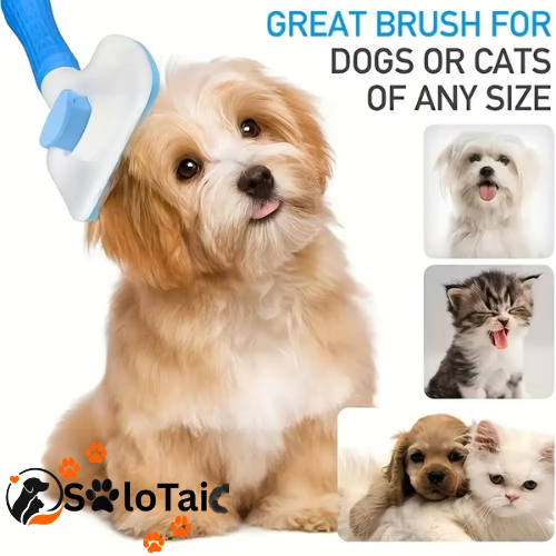 dog being groomed with self cleaning pet brush removing loose hair